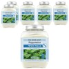The Herb Shop Beauty Salt Peppermint, 1 ea, 6 ea / 더허브샵 미용소금 페퍼민트, 1개, 6개