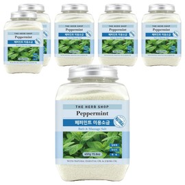 The Herb Shop Beauty Salt Peppermint, 1 ea, 6 ea / 더허브샵 미용소금 페퍼민트, 1개, 6개