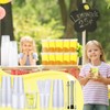 LemonRoad 24 Set Lemonade Stand Supplies Lemonade Stand Kits Include