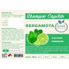 Shampoo Bergamota Natural Sane Crecimiento De Cabello 20 Lt