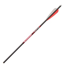 BLOODSPORT Hunter 20" Crossbow Bolt 3" Vanes Black 6PK