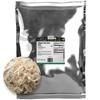 Frontier Co-op Bulk Slippery Elm Inner Bark Cut and Sifted,