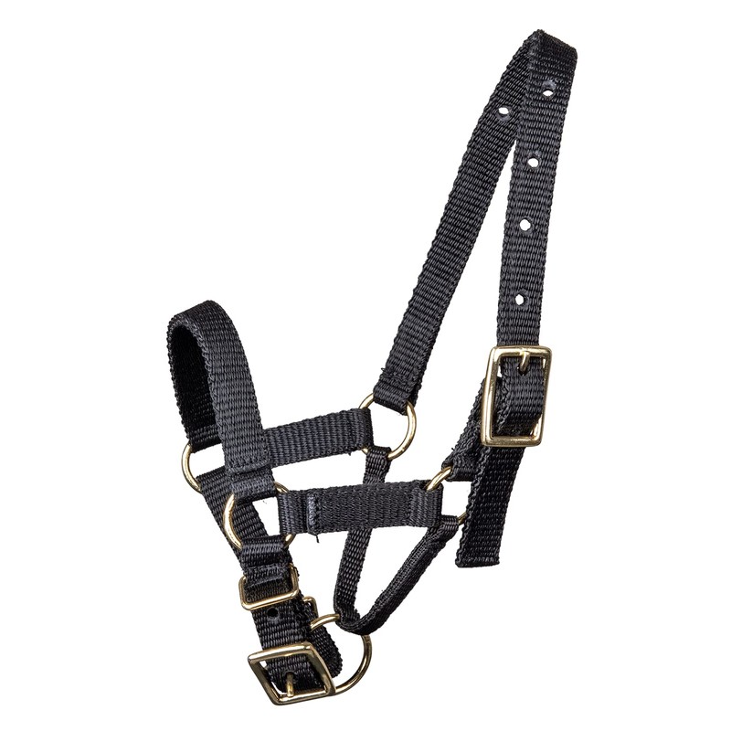 WALDHAUSEN Alpaca Headcollar L Black