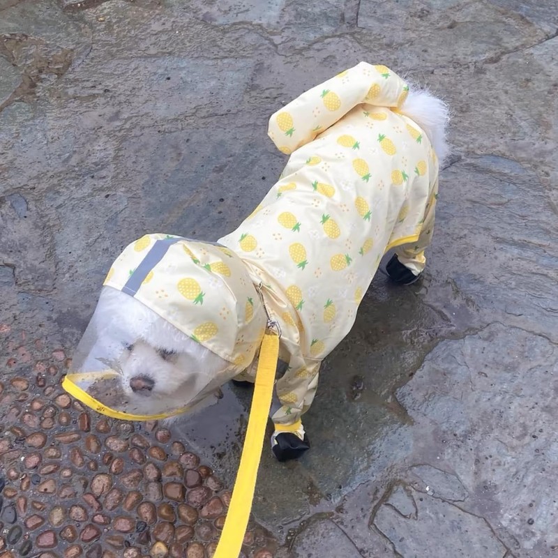 HOSTPATH Dog Raincoat with Detachable Tail,Waterproof Dog Rain Jacket withTransparent