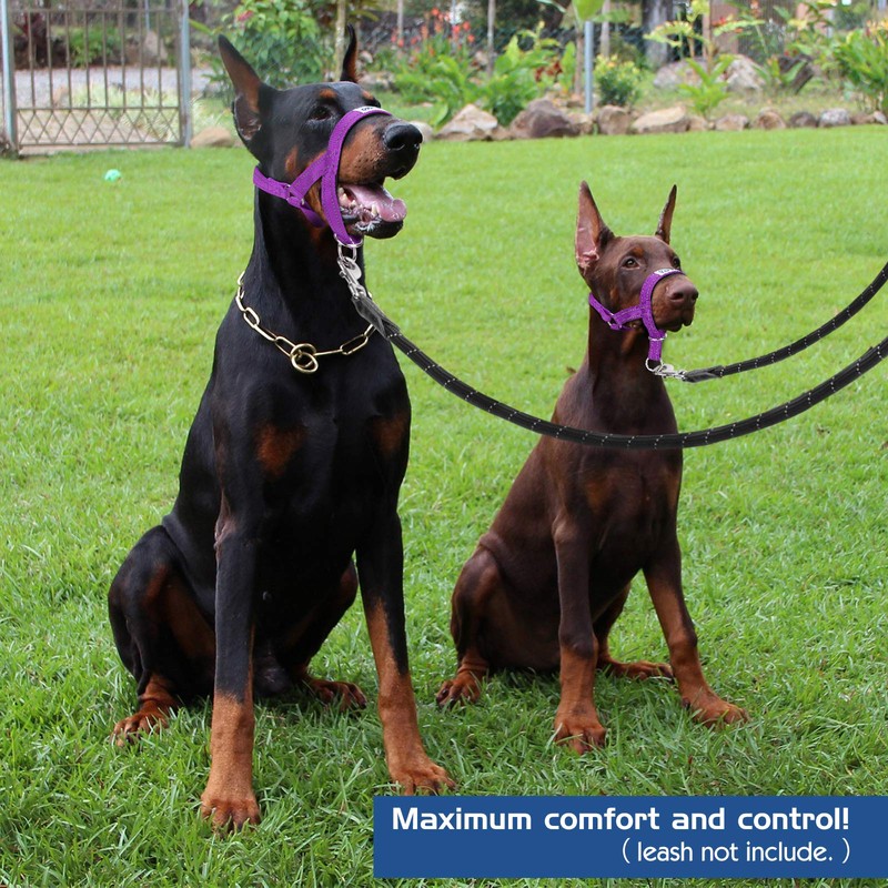 Pawaboo Dog Muzzle, Head Halter Collar for Dog, Pet Dog