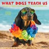 Willow Creek Press What Dogs Teach Us Monthly Mini 2025