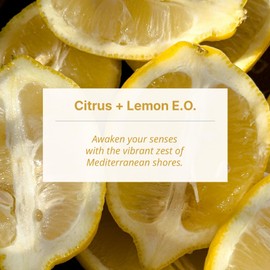 SecondShower Infuser Set 15 Shower Tablets (Corsica Citrus) with Essential Oils for Aromatherapy, Hydration & Skin-Nourishing Formula, Spa-Like Shower Experience