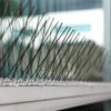10Pcs 30cm Stainless Steel Anti Bird Spike Outdoor Bird Repellent