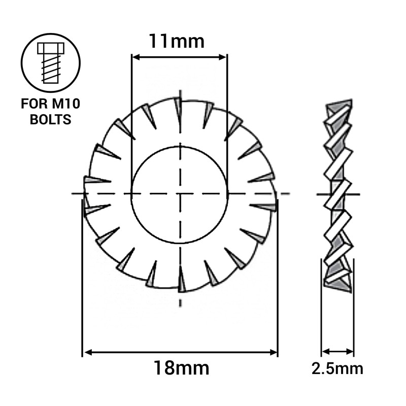 SKIR'CO (Pack of 50) Galvanised Flap Washers M10 External Locking
