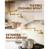 Pot Filler Faucet, Wall Mount Pot Filler Kitchen Faucet (Gold)