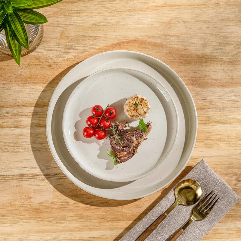 AmorArc Ceramic Dinner Plates Set of 2, 10.5 Inch Large