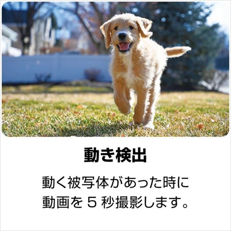 Kenko KC-AF05 Digital Camera