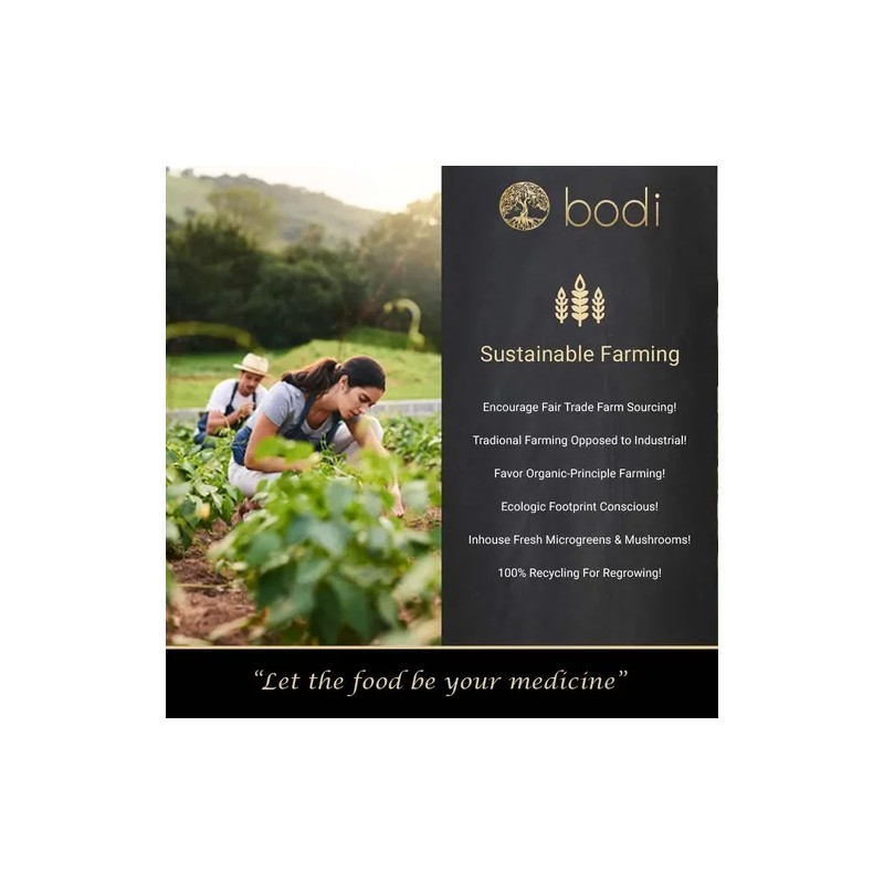 Bodi Polvo Raíz De Maca Natural 1lb Artesanal