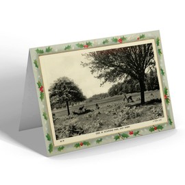 CHRISTMAS CARD - Vintage Surrey - Deer in Richmond Park, East Sheen (c)