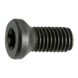 Black Oxide Star Drive Weaver Oval Head Gun Screws - 10 pcs. (6-48 x 1/4" T-10 Torx)