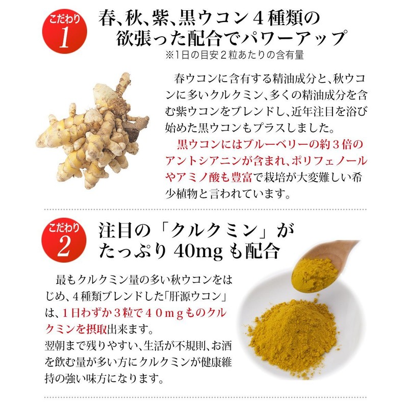 大日ヘルシーフーズ 肝源ウコン 45粒入×1袋 春ウコン 秋ウコン 紫ウコン 黒ウコン 配合 錠剤タイプ サプリ