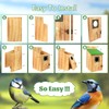 2 Pack Bird Houses for Outside - Cedar Bluebird Houses