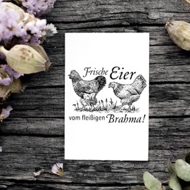 Dekolando Motif Stamp Fresh Eggs of Busy Brahma - Wooden Stamp Country House Chicken - Imprint 68 x 48 mm