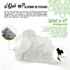 Desodorante Piedra Natural Aloe Vera 100g Sin Color unidad