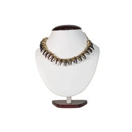 Real Coyote Claw Necklace: 20-claw