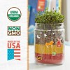 Back to the Roots STEM Certified Kids Terrarium Grow Kit