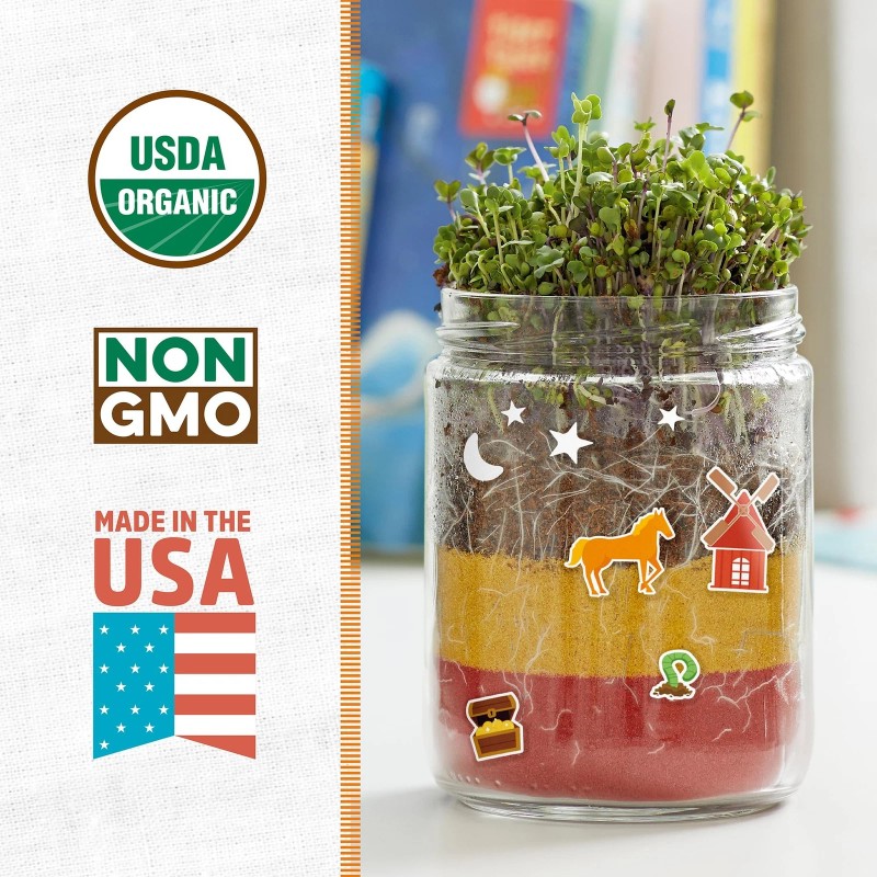 Back to the Roots STEM Certified Kids Terrarium Grow Kit