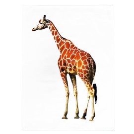 Half a Donkey Classic Giraffe on Large Cotton Tea Towel
