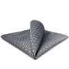 SHLAX&WING Grey Blue Dots Mens Pocket Square Silk Large Hanky