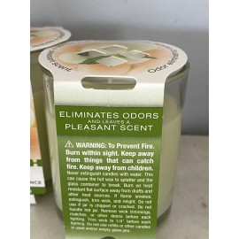 Fresh Fragrance Odor Eliminating Candle "Fresh Mellon" lot of 2 MADE IN USA!!!!