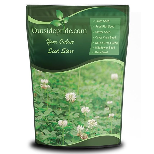 Outsidepride Perennial White Dutch Clover Seed - 5 lbs. Nitrocoated,