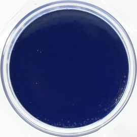 Columbus Scratch Fade Repair Glossy Leather Shoes Special Color Repair, blue