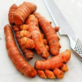 EliteKoopers 200g Fresh & Pure Indian Turmeric Curcuma Roots Whole Haldi
