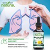 Why Not Natural Organic Mullein Drops for Lungs, USDA Organic,