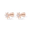 PAVOI 14K Gold Flat Backs (Star, Rose Gold)