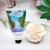 썸앤드 제주 동백 핸드크림 (50ml) 선물 특산품 기념품 Some and