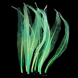 REIRQIE 1Pcs Aquarium Decoration Green Plants Simulation Artificial Water Grass Fish Tank Decor Silicone Glowing Kelp Tall Aquarium Plant Ornament Accessories,Green,16.9in