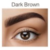 Demure Demure Color Gel Eyebrow and Eyelash Tint 30g, Professional