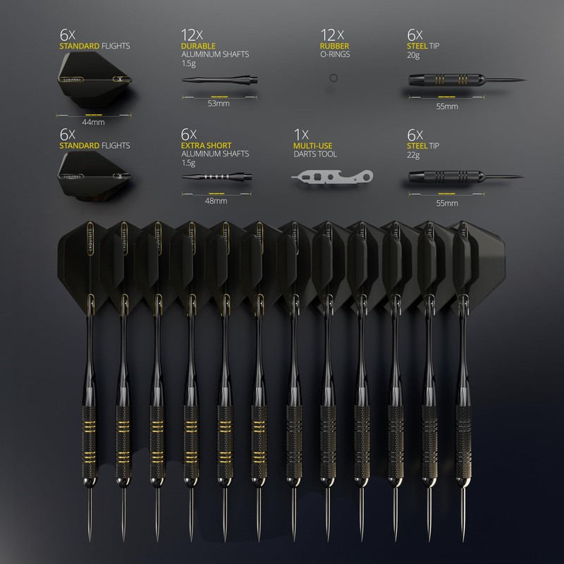 CC-Exquisite Darts Set | Professional 12 X 20/22g Metal Tip