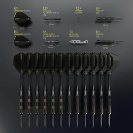 CC-Exquisite Darts Set | Professional 12 X 20/22g Metal Tip Darts | Steel Tip Darts with 24 Flights & 18 Aluminum shafts + Dart Tool, Rubber O-Rings