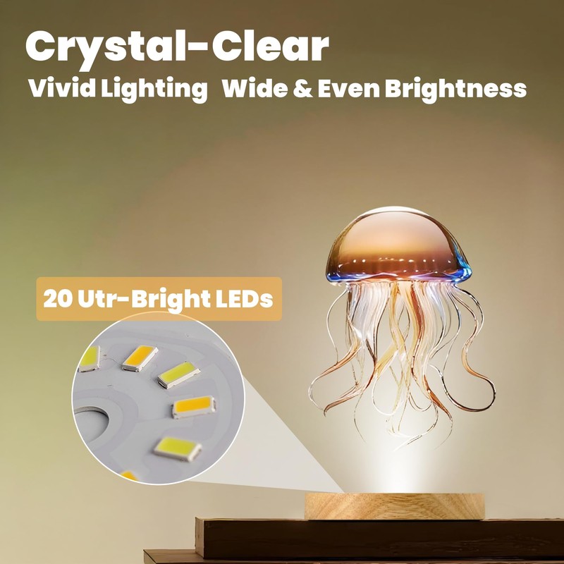 FuoiCorn Wood LED Light Base - Crystal Display Stand for