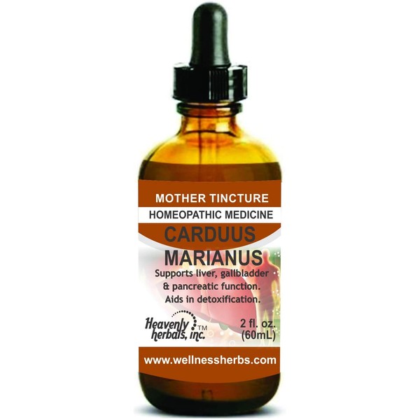 Carduus Marianus Q - Mother Tincture - Supports Liver, Gallbladder & Pancreatic Function. Aids in Detoxification. 2.0 Fl Oz - Made in USA (Alcoholic Extract)