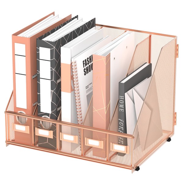 DALTACK Desk Organizers Magazine Binder Folder Holder with 5 Vertical