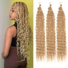 Samtress 3 Packs Ocean Wave Crochet Hair Honey Blonde Long
