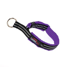 ComfortFlex Premium Padded Martingale Dog Collar – Reflective Waterproof Slip-On Limited Slip Collar for Gentle Control & Escape Prevention - Large, Purple