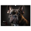 Hunde Porträts (Wandkalender 2026 DIN A3 quer), CALVENDO Monatskalender