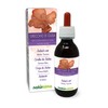Judas Ear or Elderberry Mushroom (Auricularia auricula-judae) Mushroom Alcohol-free Mother
