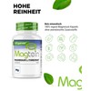 vit4ever Magtein Magnesium L-Threonate 120 Capsules - High Dose 2000