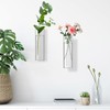 2 Pack Wall Hanging Glass Planters 1.85x5.9 Inch High Borosilicate
