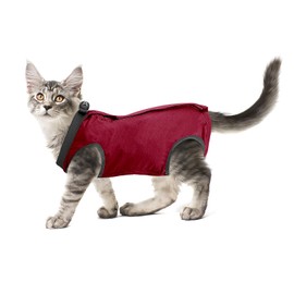 cobee Cat Professional Recovery Suit for Abdominal Wounds or Skin Diseases Kitten Surgery Recovery Suit E-Collar Alternative for Cats and Dogs Post Surgery (L, Red)