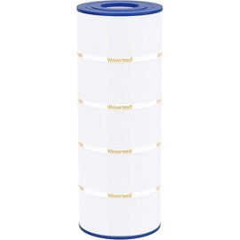 Pool Filter Compatible with C1200, cx1200re, PA120, C-8412, FC-1293, Clearwater II 125, Pro Clean 125, 120 sq. ft, 1 Pack